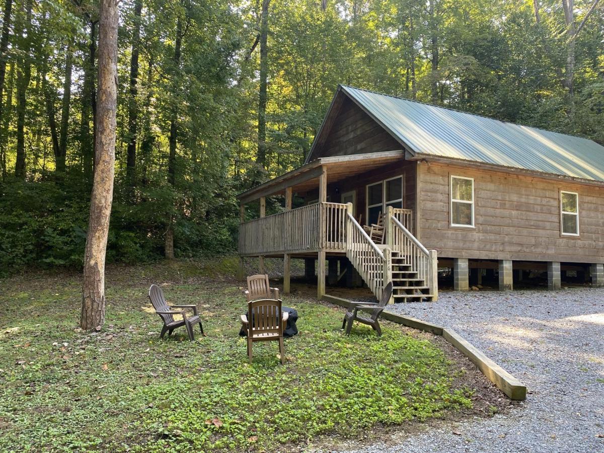 Tranquil Valley Retreat Cabin سيفيرفيل المظهر الخارجي الصورة